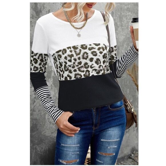 Animal Print, Color Blocked, Long Sleeve Top - Picture 1 of 7
